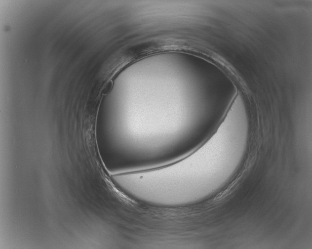 X0000060750801200511100936