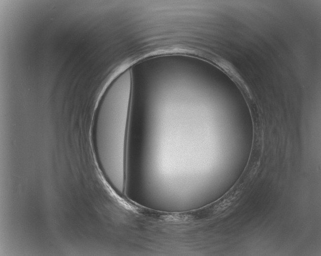 X0000060750805200511100936