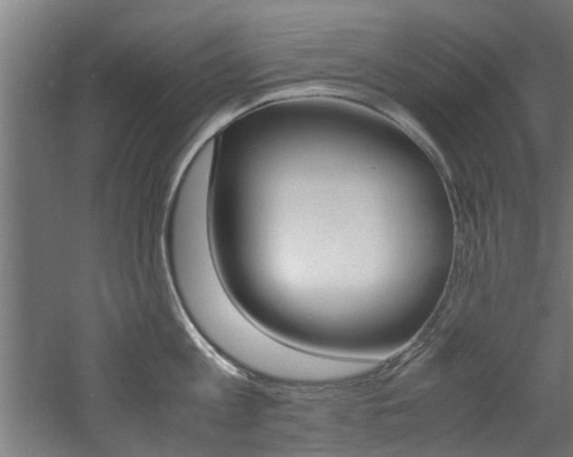 X0000060750813200511100936