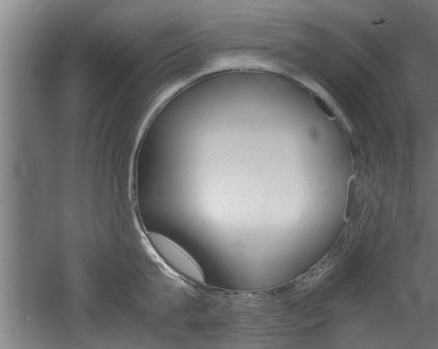 X0000060750815200511100936