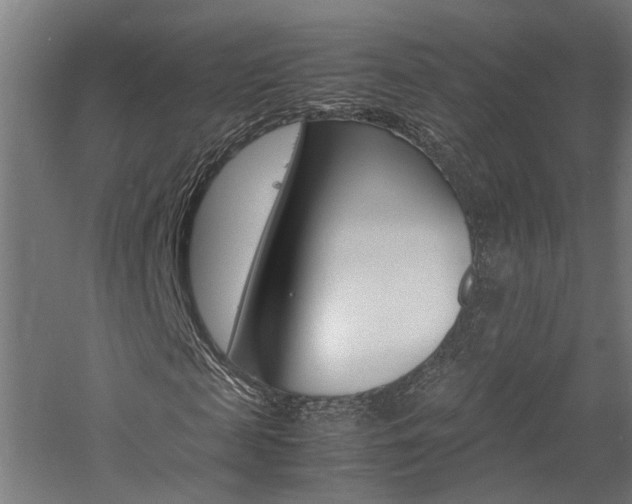 X0000060750817200511100935