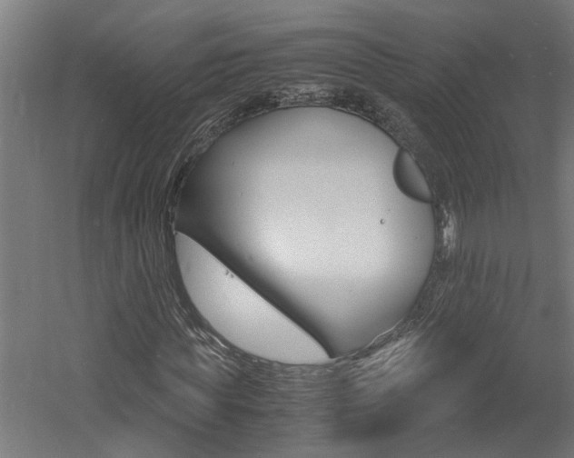 X0000060750819200511100935