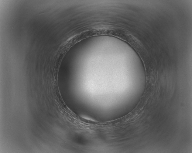X0000060750821200511100935