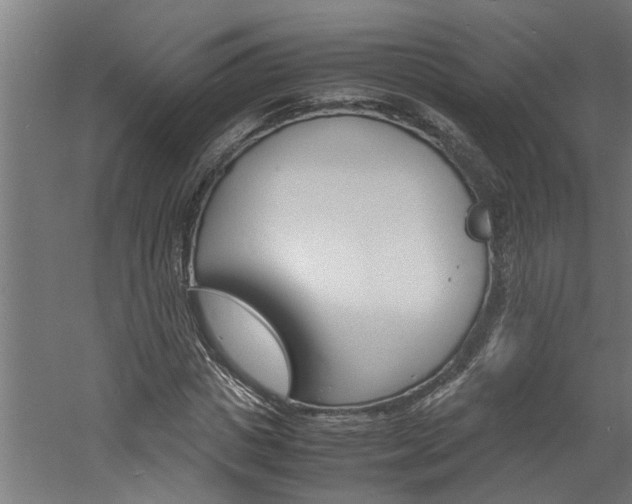 X0000060750825200511100935
