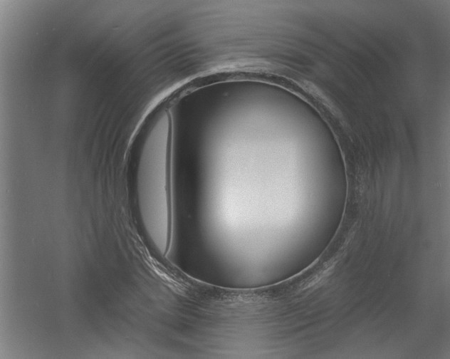 X0000060750830200511100935