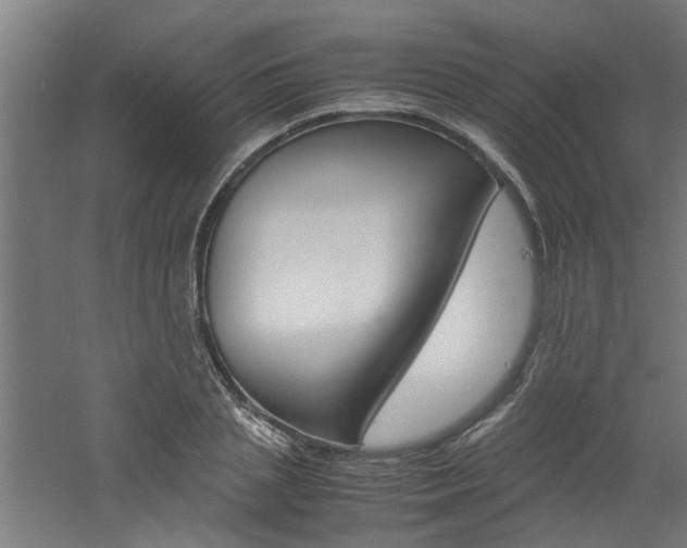 X0000060750837200511100936