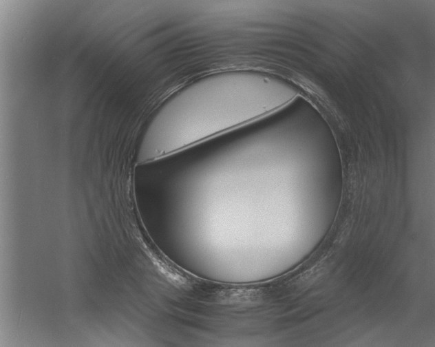 X0000060750841200511100936