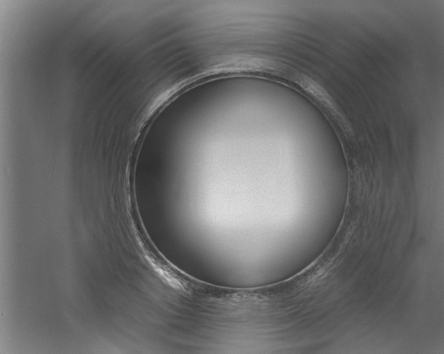 X0000060750842200511100936
