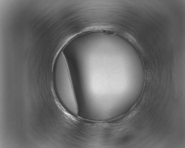 X0000060750844200511100936