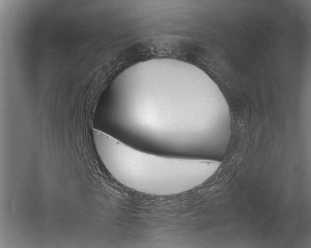 X0000060750865200511100935