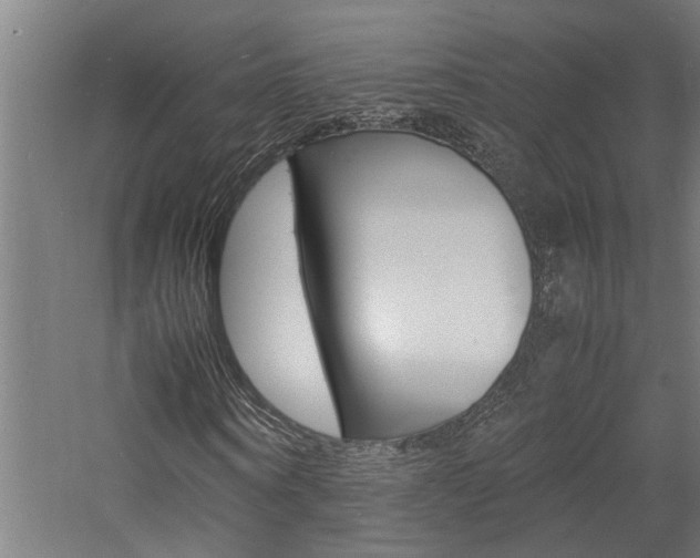 X0000060750866200511100935