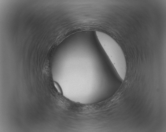 X0000060750867200511100935