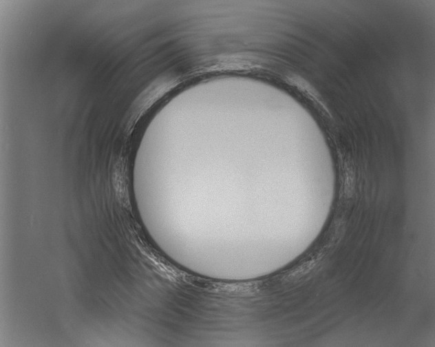 X0000060750874200511100935