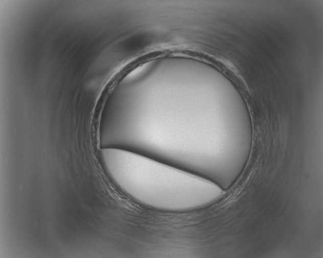 X0000060750879200511100935