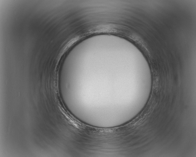X0000060750882200511100935