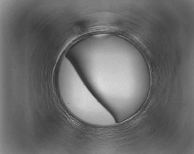 X0000060750883200511100935
