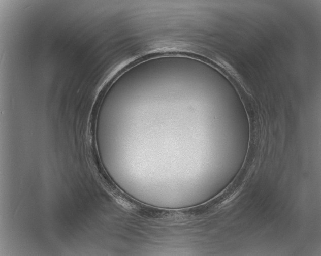 X0000060750885200511100935