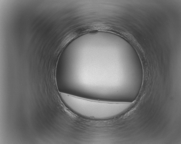 X0000060750889200511100935