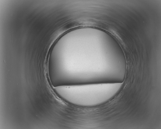 X0000060750891200511100935
