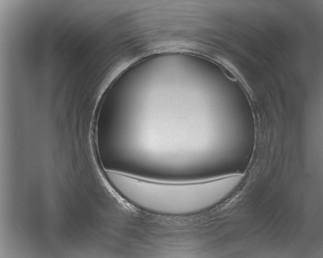 X0000060750901200511100935