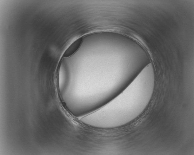 X0000060750907200511100934