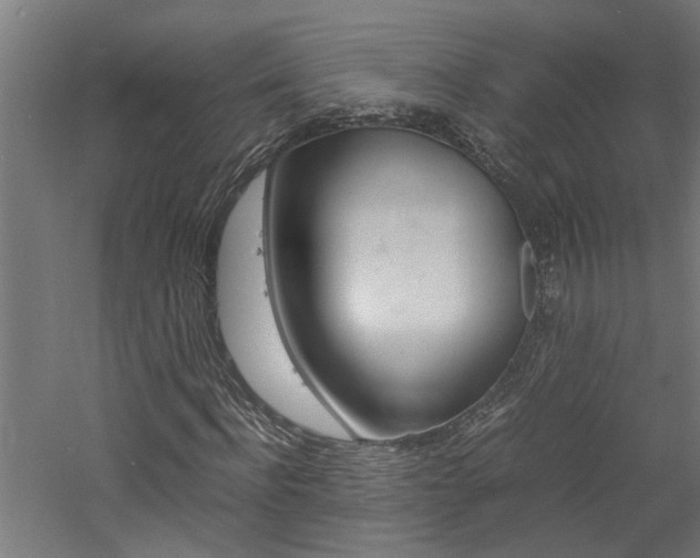 X0000060750916200511100934