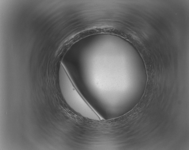X0000060750920200511100934