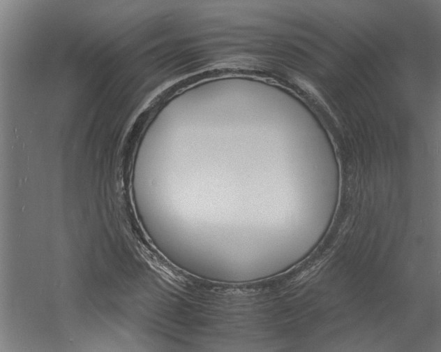 X0000060750923200511100934