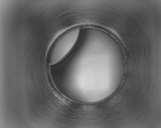 X0000060750927200511100934