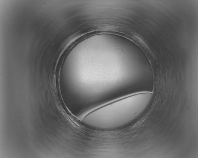 X0000060750932200511100934