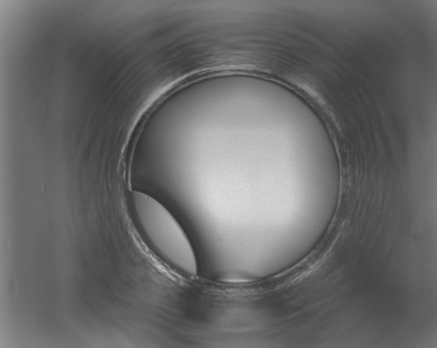 X0000060750933200511100934