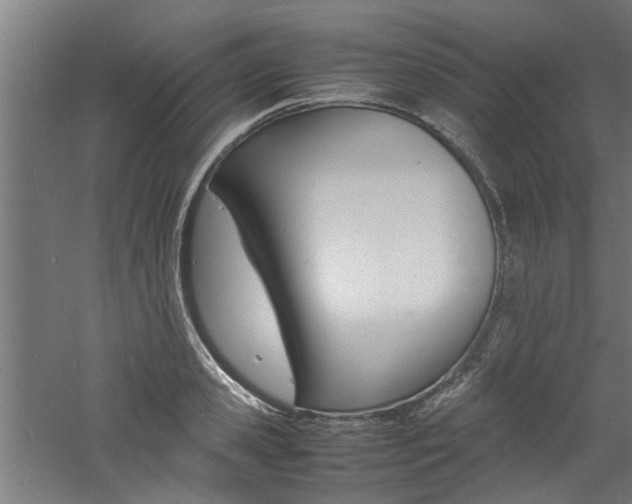 X0000060750941200511100934