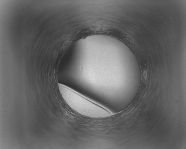 X0000060750963200511100933