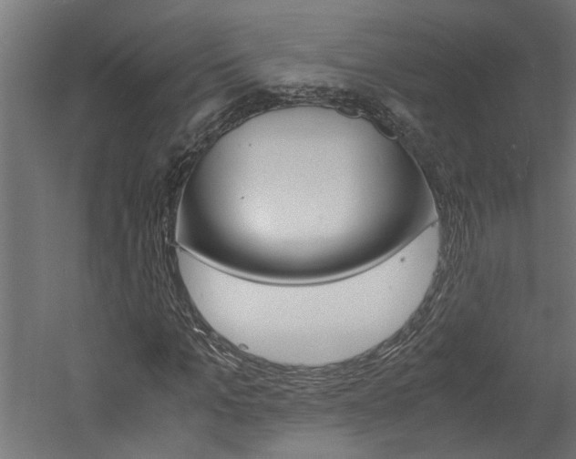 X0000060750965200511100933