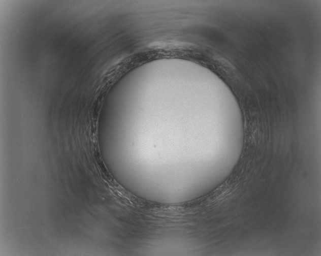 X0000060750966200511100933