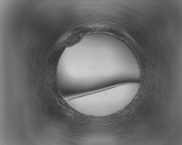 X0000060750967200511100933