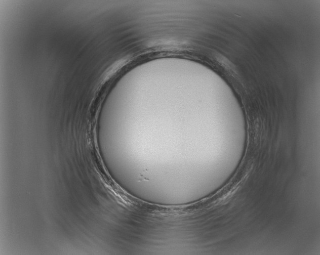 X0000060750970200511100933