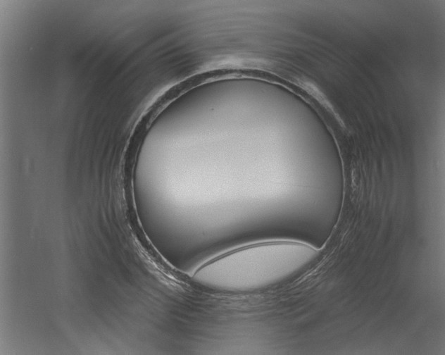 X0000060750972200511100933