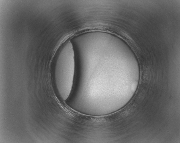 X0000060750978200511100933