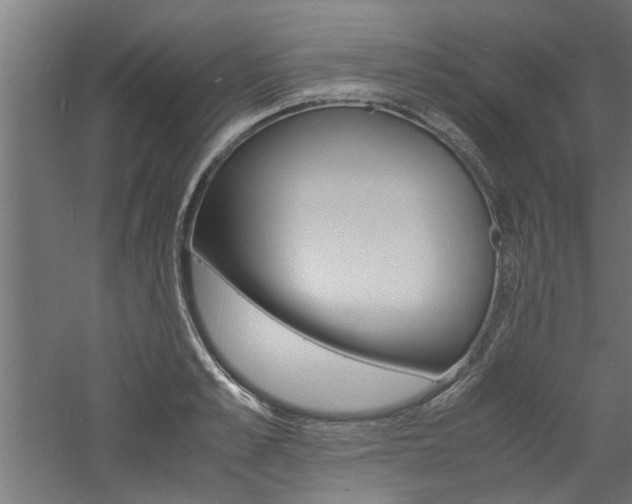 X0000060750989200511100933