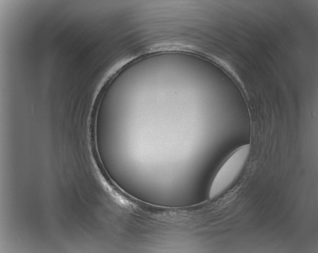 X0000060750995200511100933