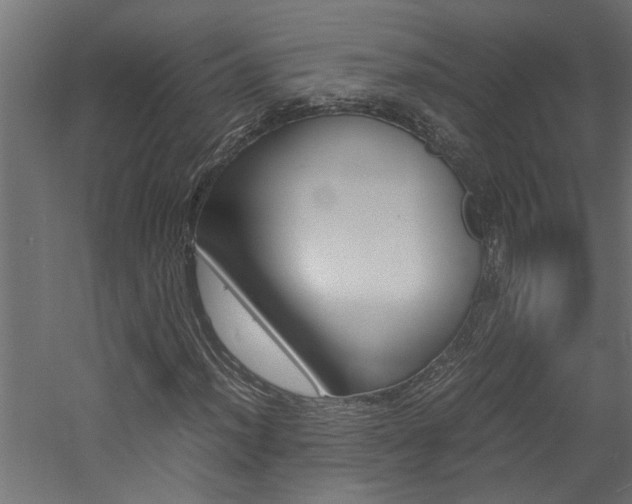 X0000060751012200511100932