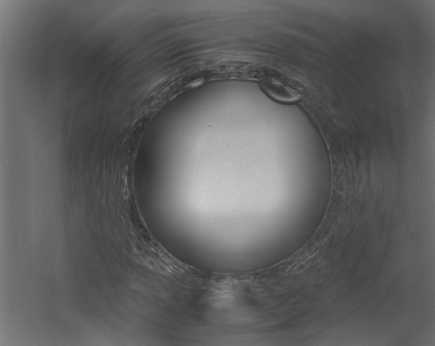 X0000060751013200511100932