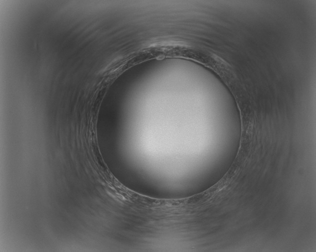 X0000060751014200511100932