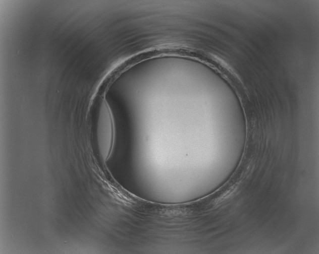 X0000060751021200511100932
