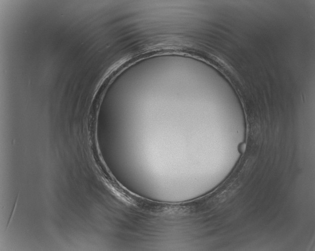 X0000060751026200511100932