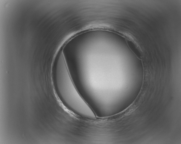 X0000060751038200511100932