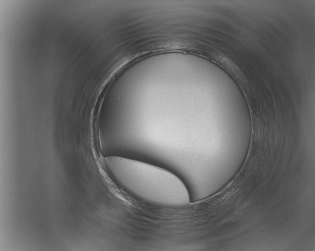 X0000060751039200511100932