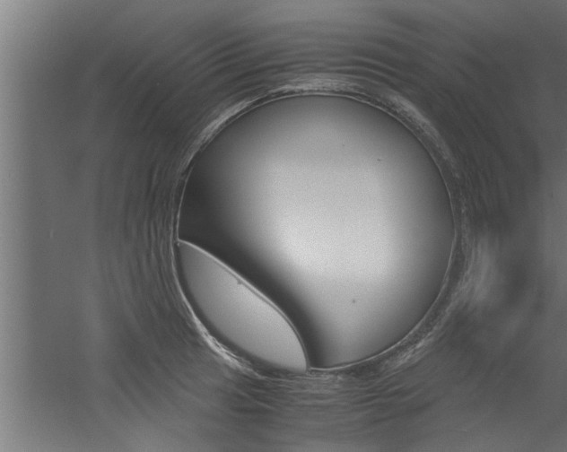 X0000060751041200511100932