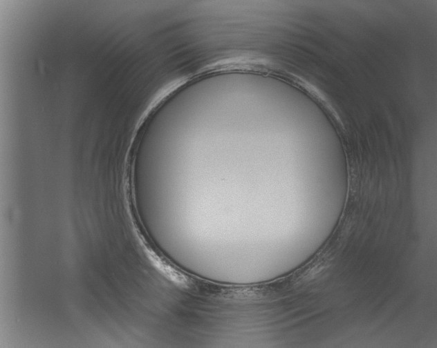 X0000060751042200511100932